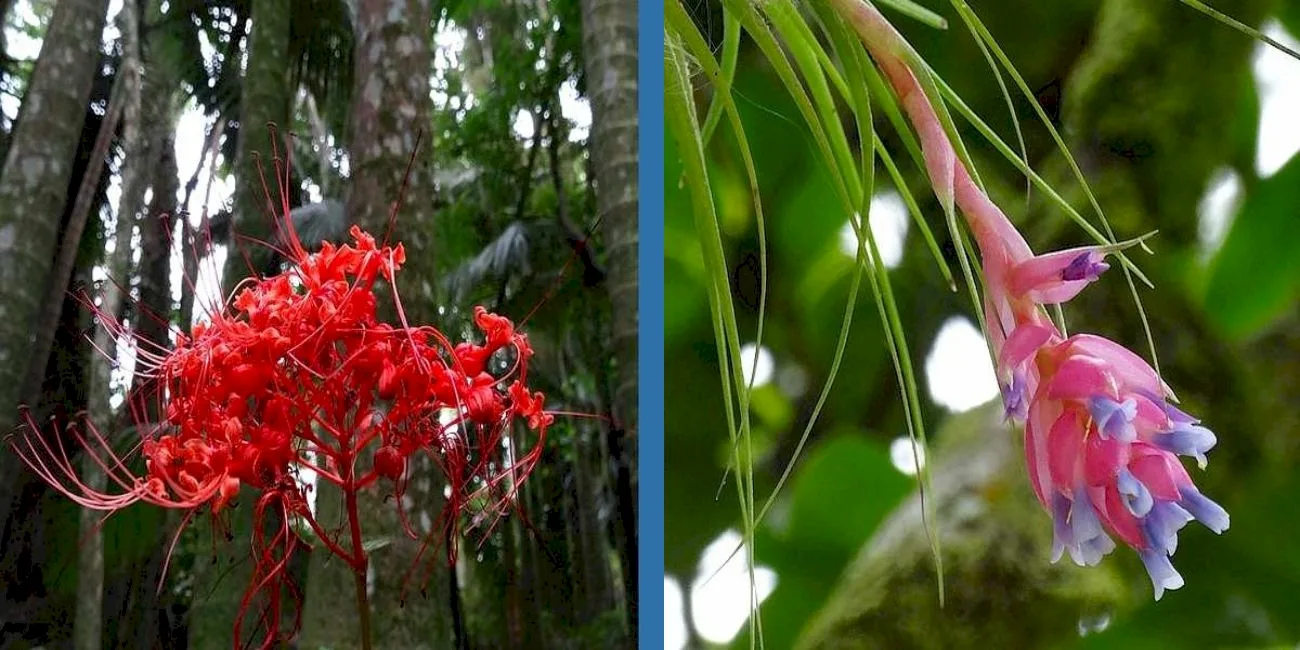 BLUMENAU Y CAMBORIÚ — 27