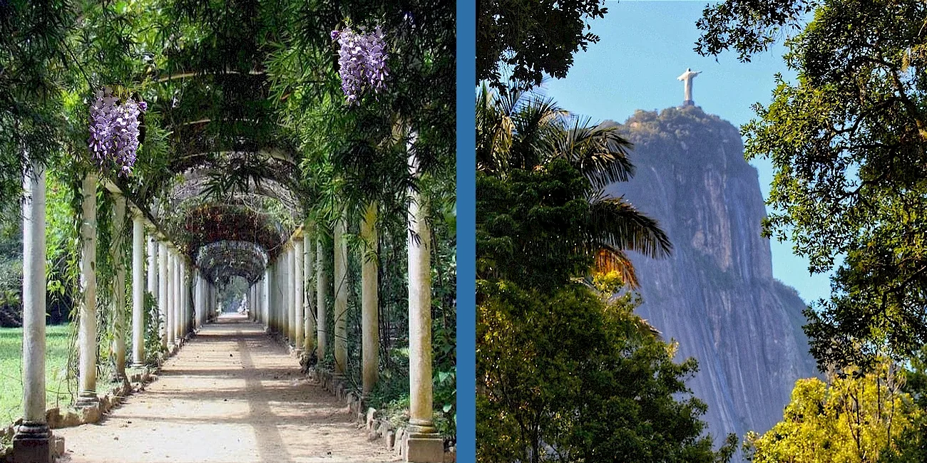 RÍO DE JANEIRO — botanico/12