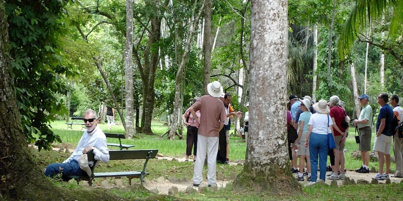 RÍO DE JANEIRO — botanico/17