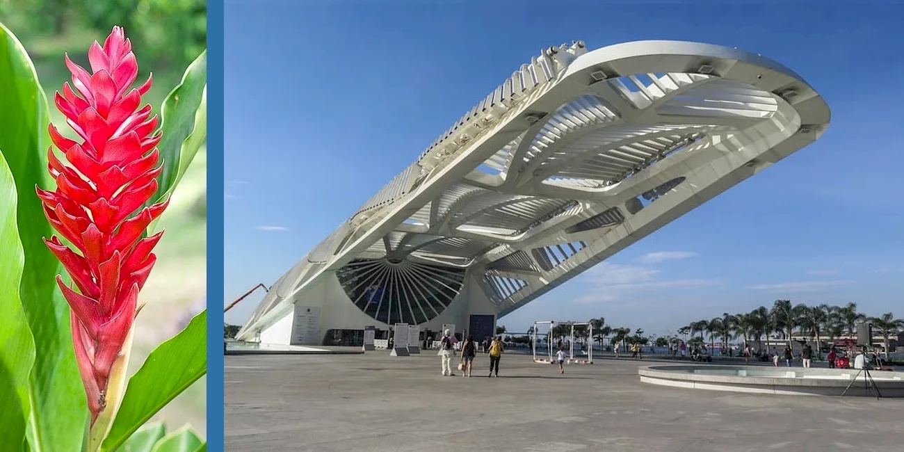 RÍO DE JANEIRO — porto maravilha/06 museo del manana