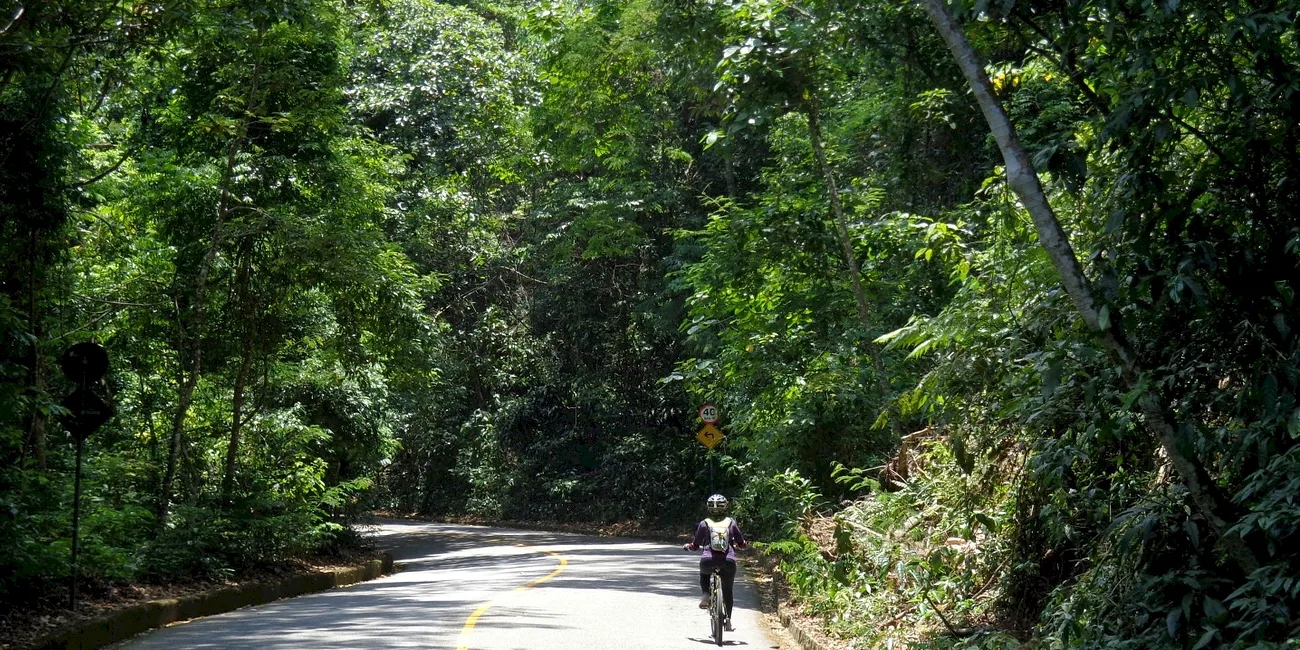 RÍO DE JANEIRO — tijuca/11 floresta