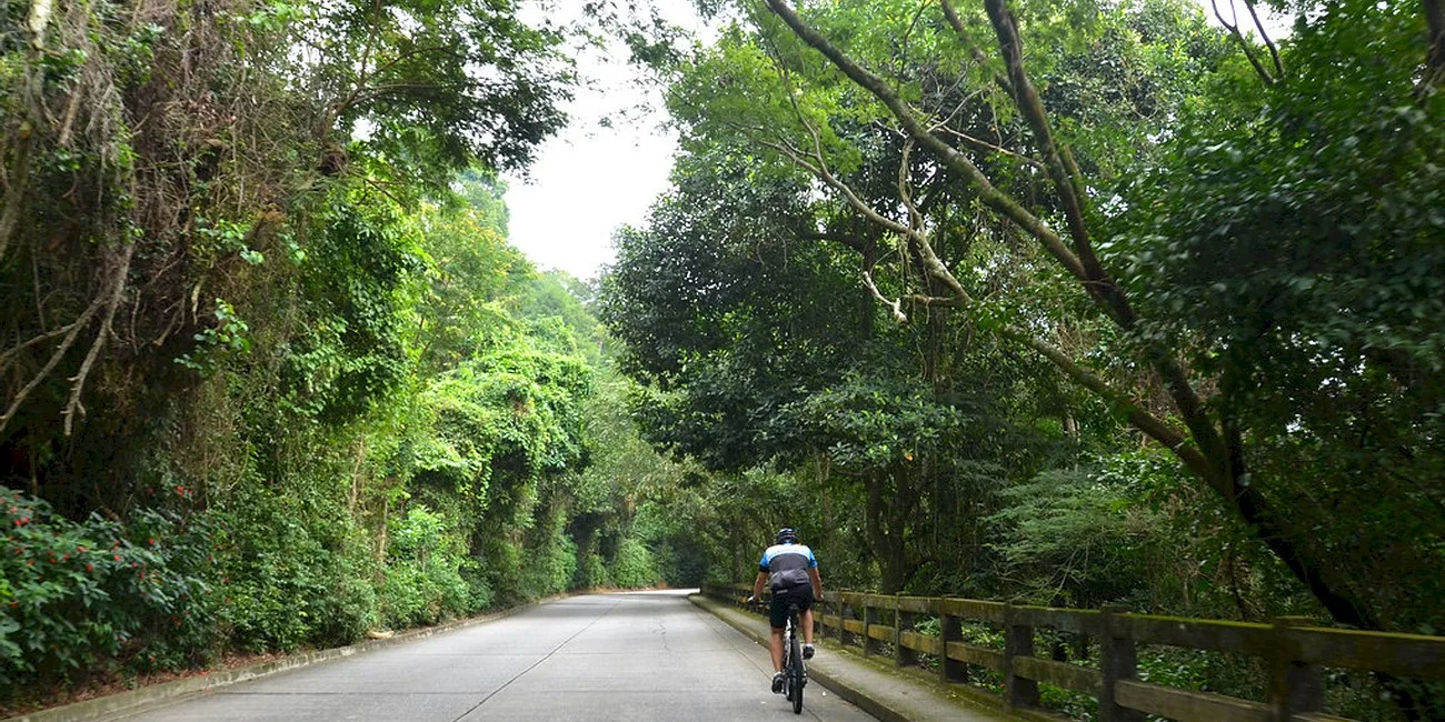 RÍO DE JANEIRO — tijuca/15 floresta