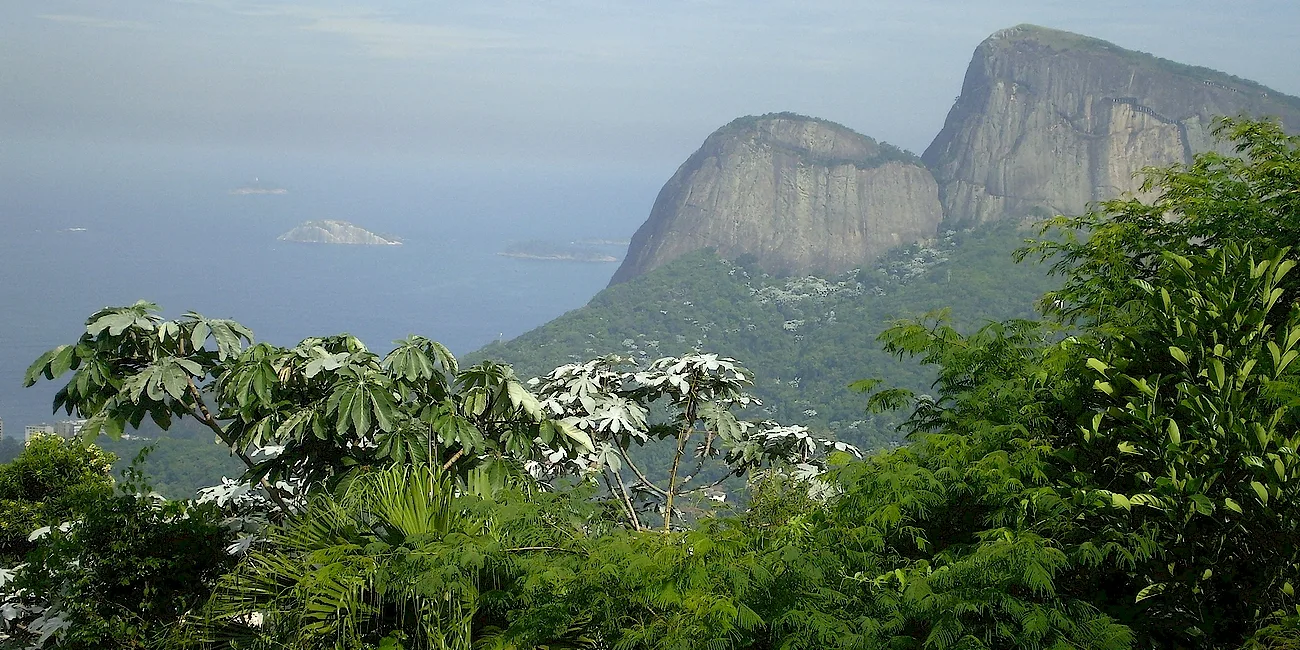 RÍO DE JANEIRO — tijuca/25 roca del conde
