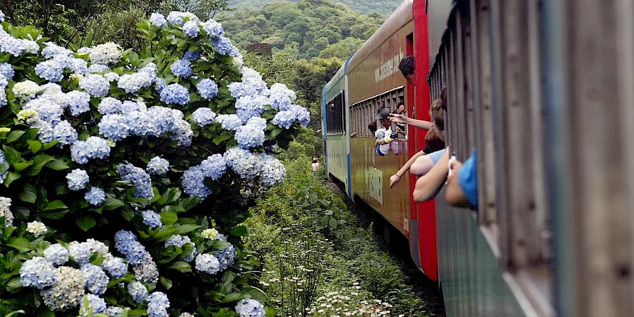 TREN SERRA VERDE EXPRESS — 18