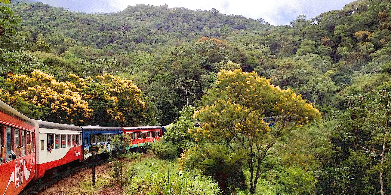 TREN SERRA VERDE EXPRESS — 19