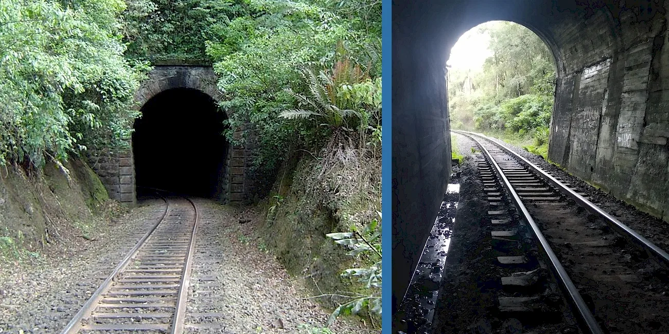 TREN SERRA VERDE EXPRESS — 25