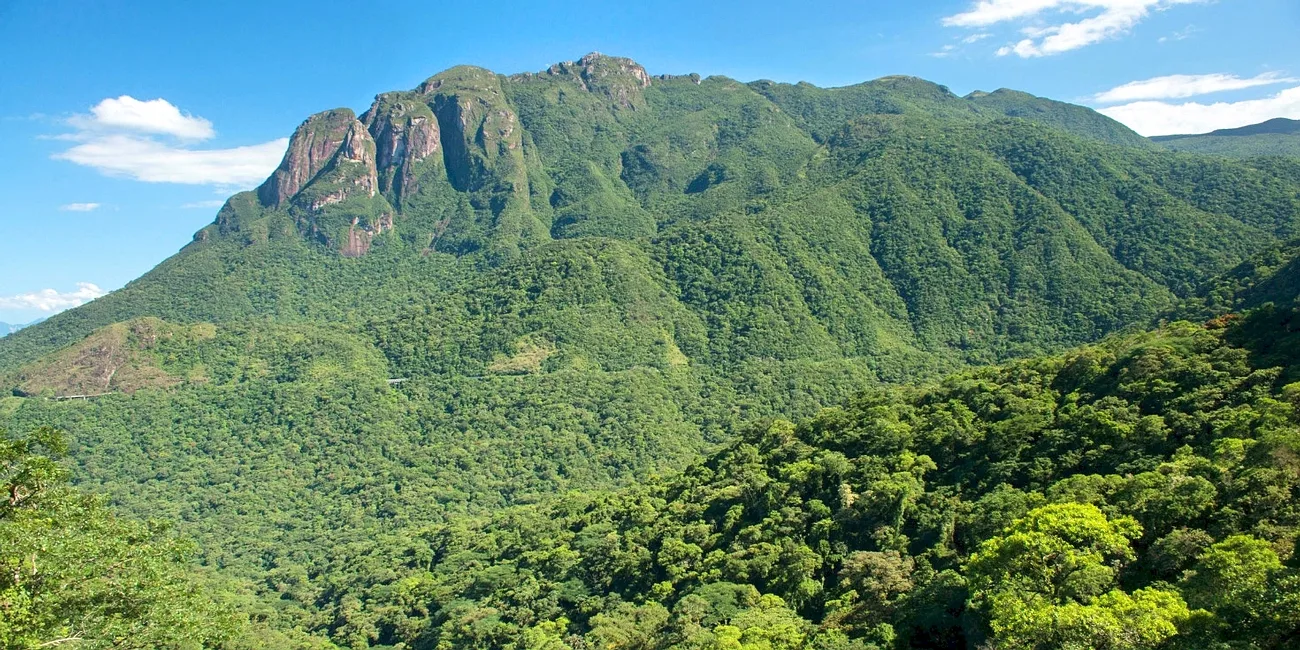 TREN SERRA VERDE EXPRESS — 34