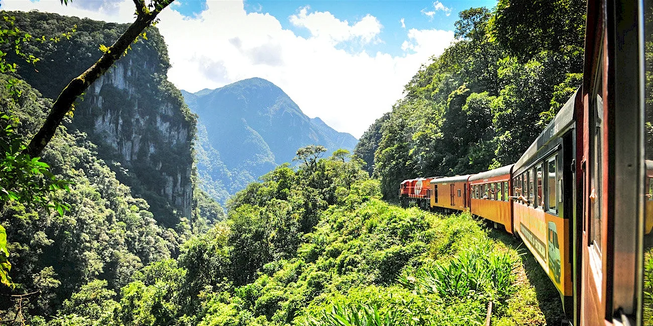 TREN SERRA VERDE EXPRESS — 41