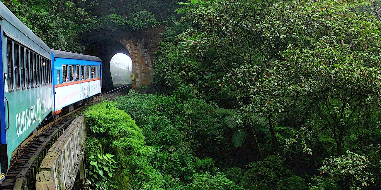 TREN SERRA VERDE EXPRESS — 44
