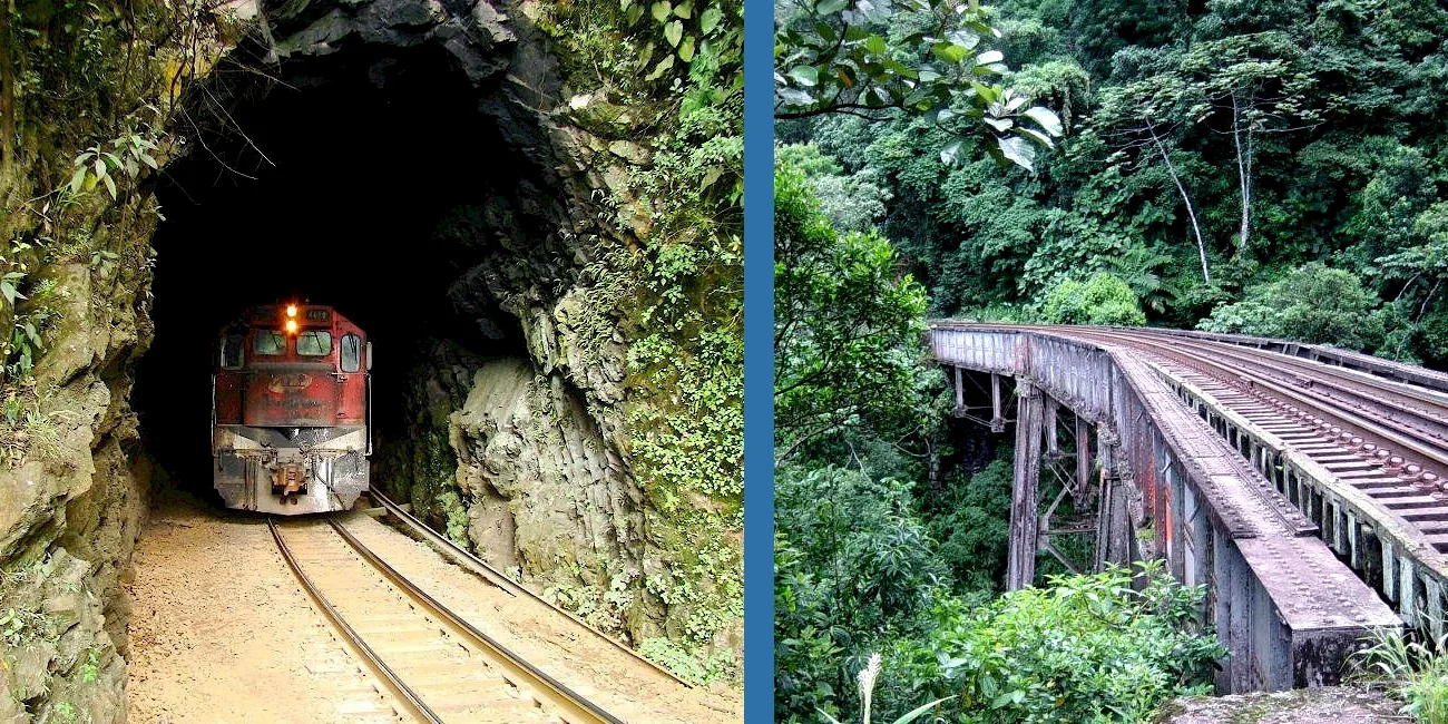 TREN SERRA VERDE EXPRESS — 49