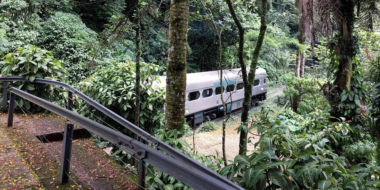 TREN SERRA VERDE EXPRESS — 53
