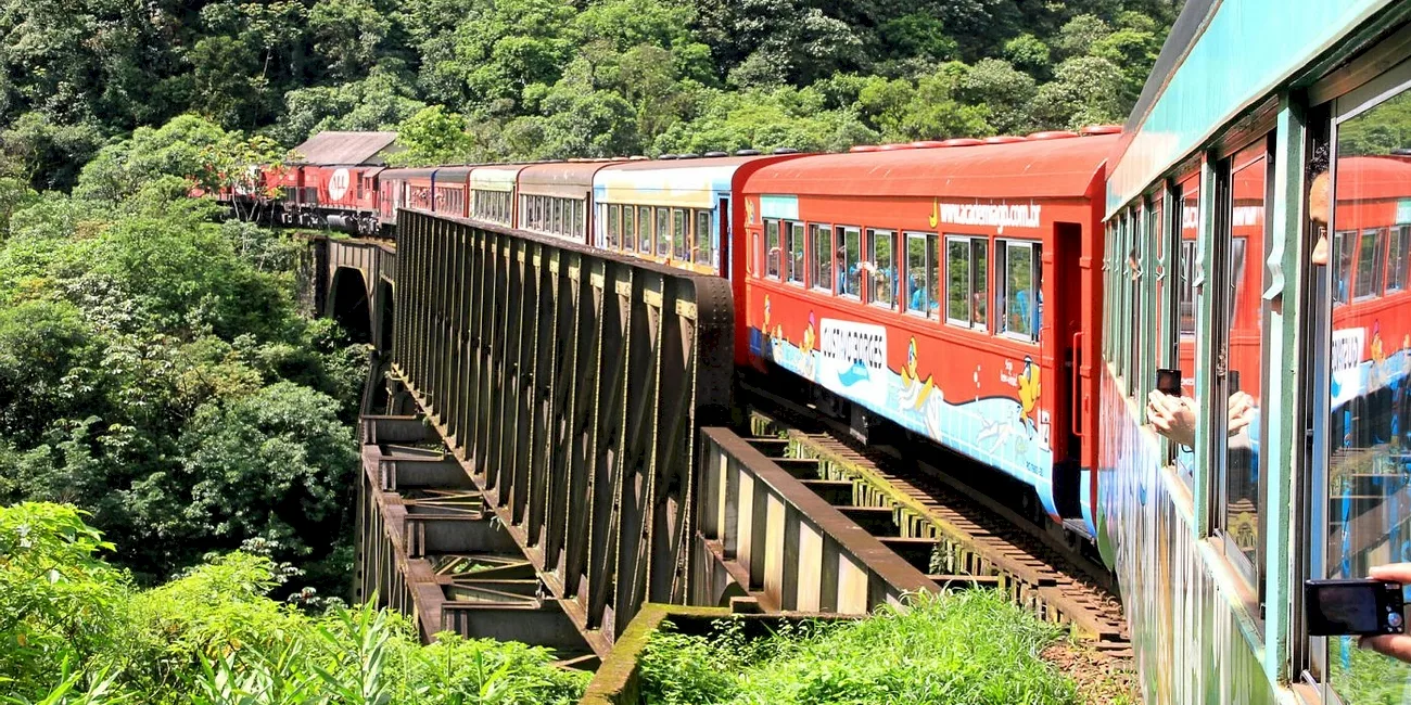 TREN SERRA VERDE EXPRESS — 57