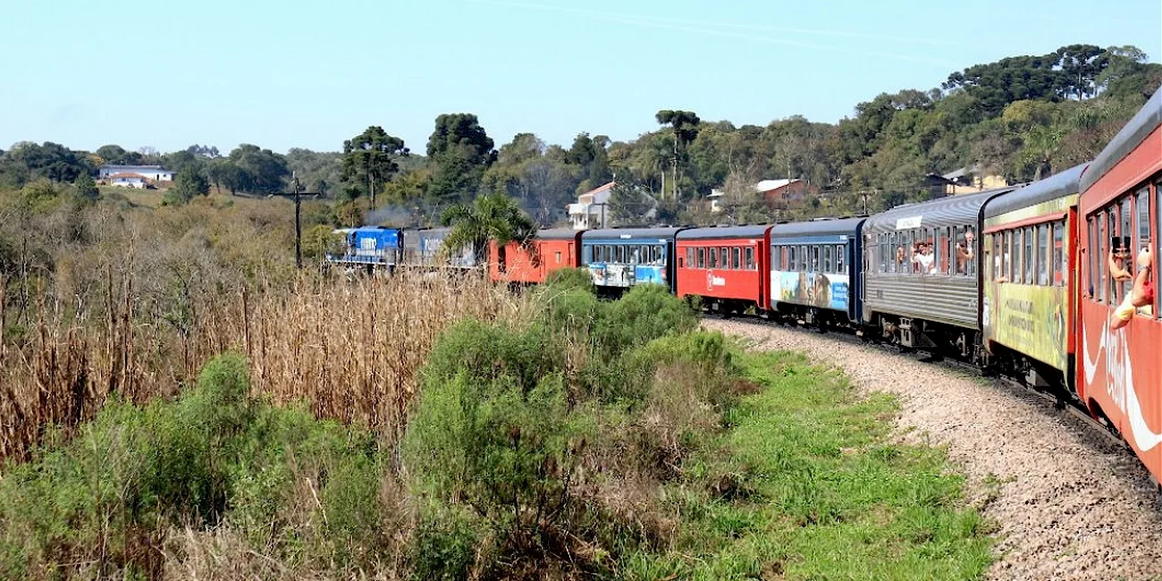 TREN SERRA VERDE EXPRESS — 81