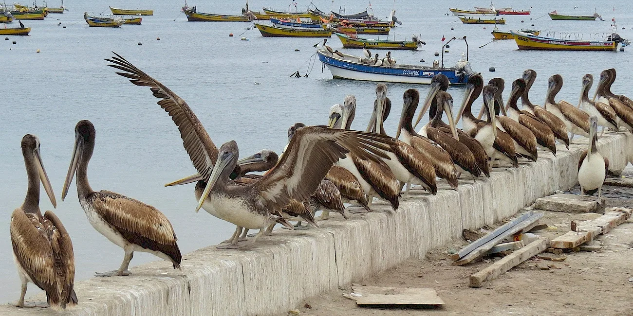 COQUIMBO Y LA SERENA — 07