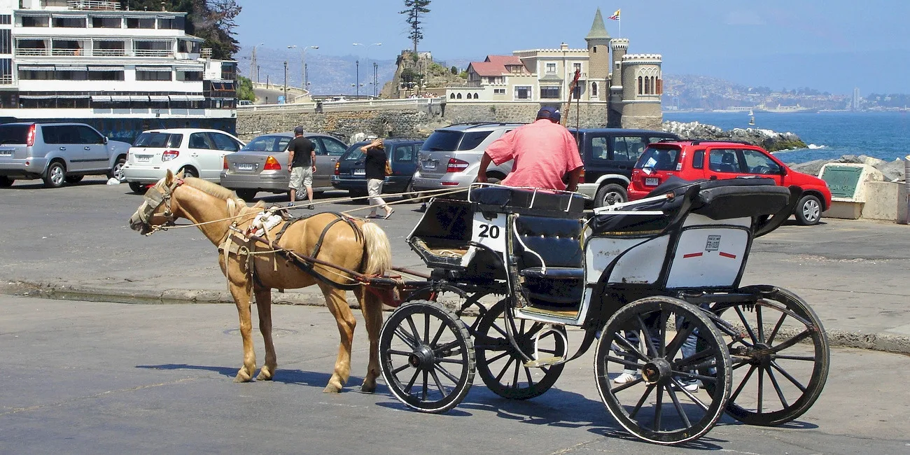 VIÑA DEL MAR — 25 vina
