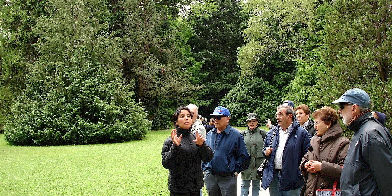 VALDIVIA — 85