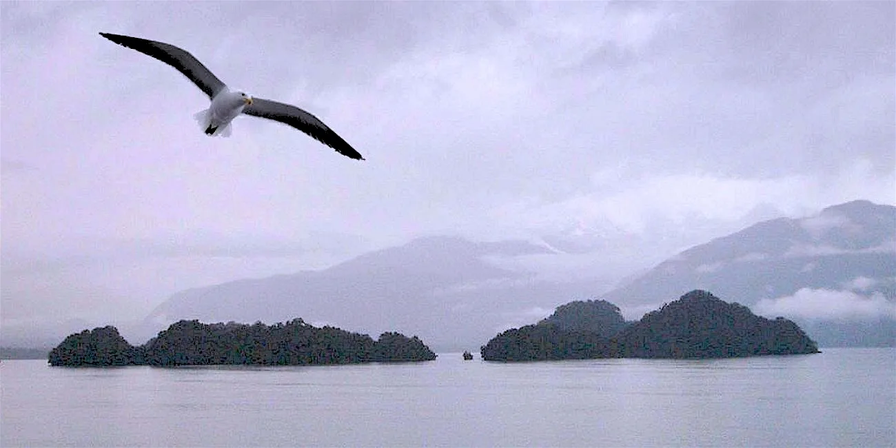 PUERTO CHACABUCO — 103