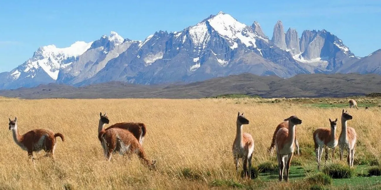 TORRES DEL PAINE — 118