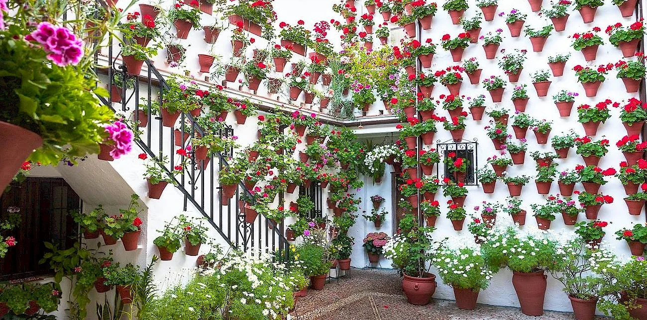 ANDALUCÍA — 15 patio1
