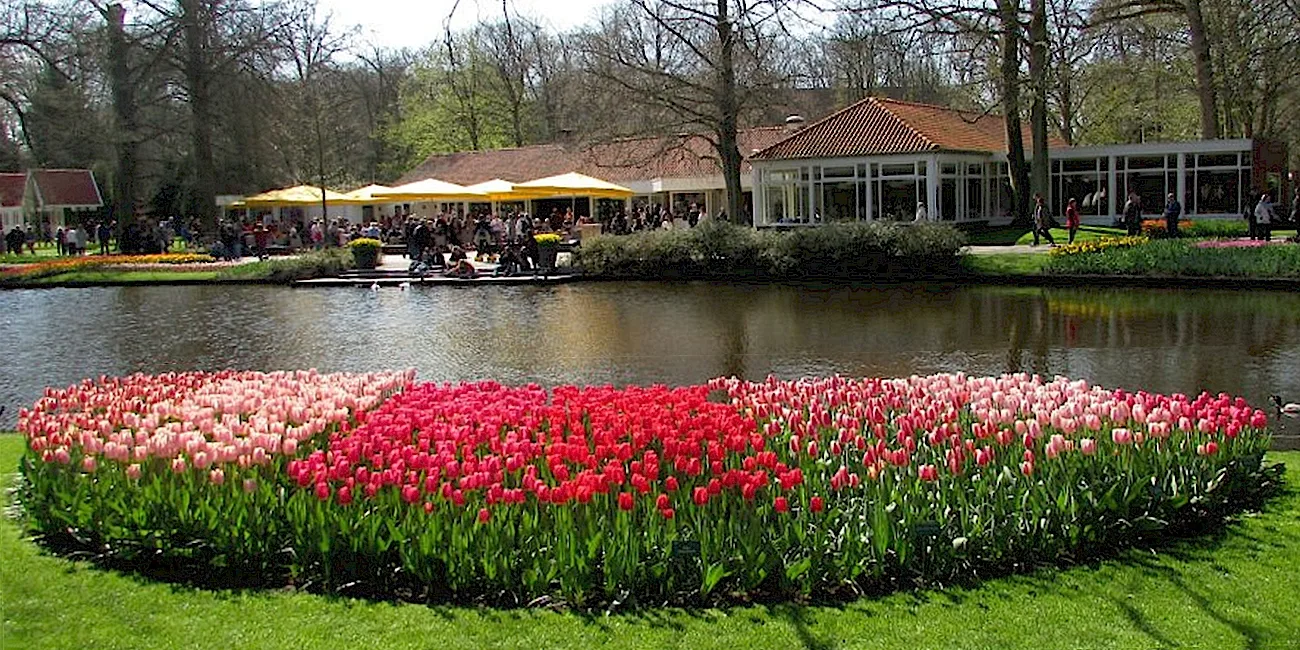 AMSTERDAM — 14