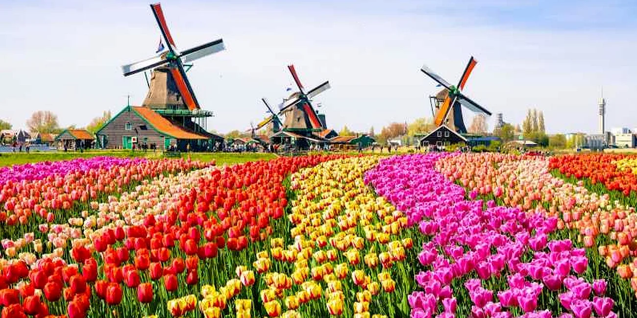AMSTERDAM — 27