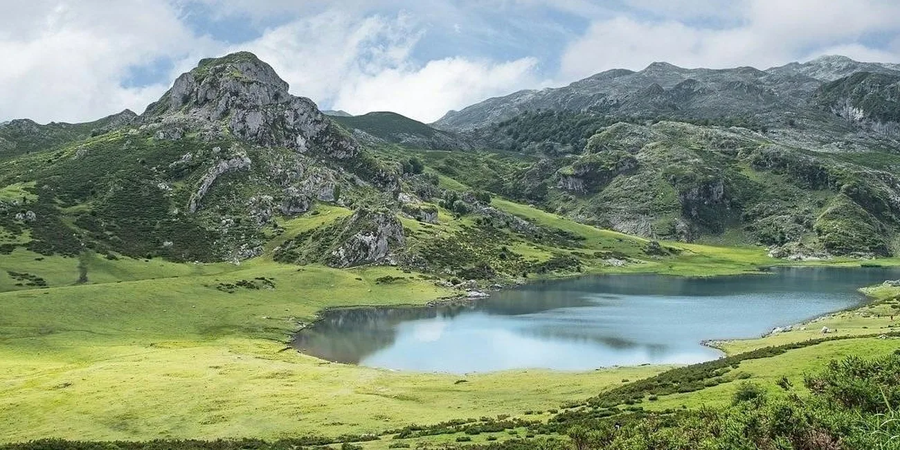 PICOS — 12