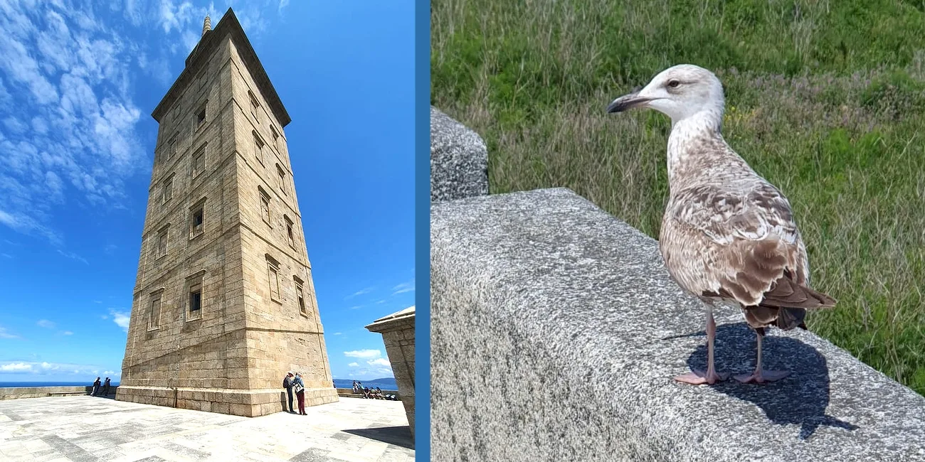 A CORUÑA — 05