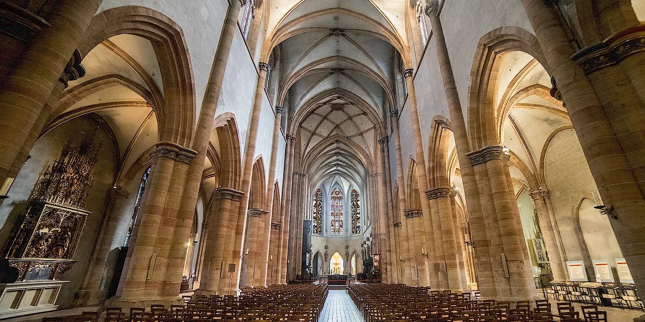 ESTRASBURGO — 41 CatedralStMartin2