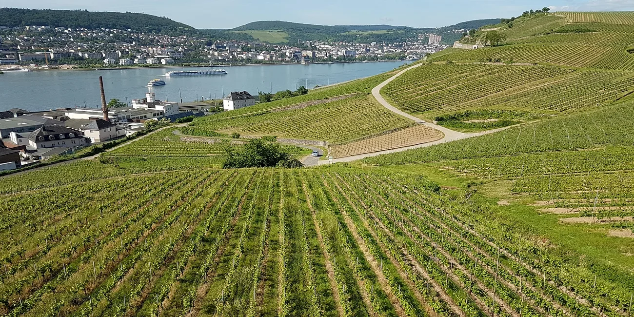 RÜDESHEIM — 25