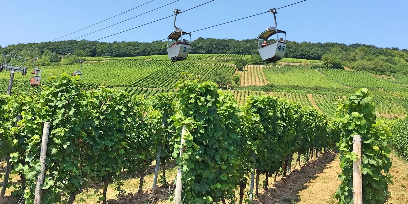 RÜDESHEIM — 27
