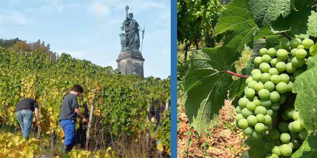 RÜDESHEIM — 28