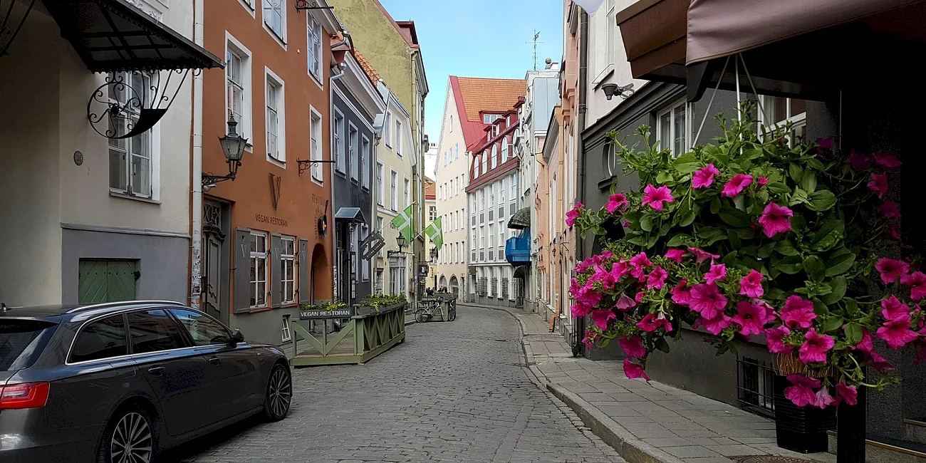 TALLIN — 18