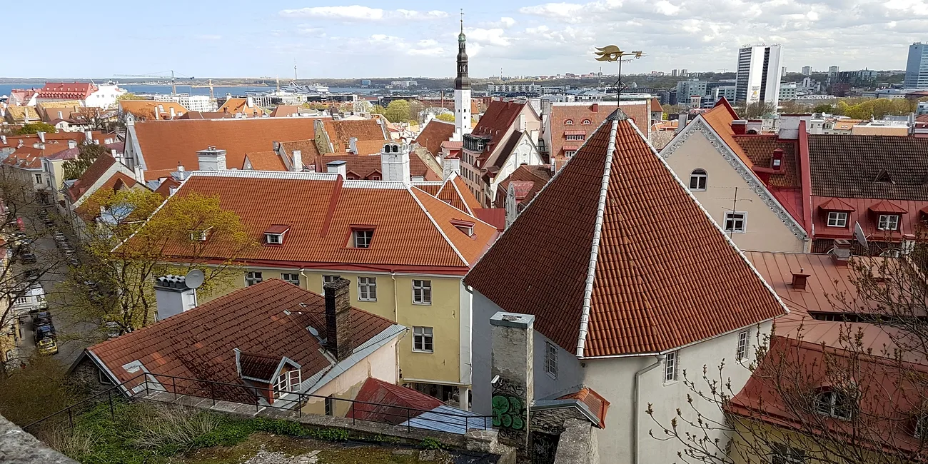TALLIN — 39
