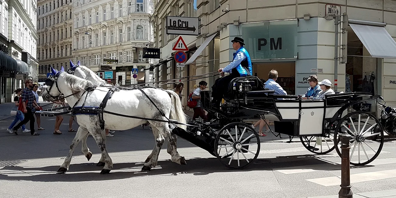 VIENA — 13