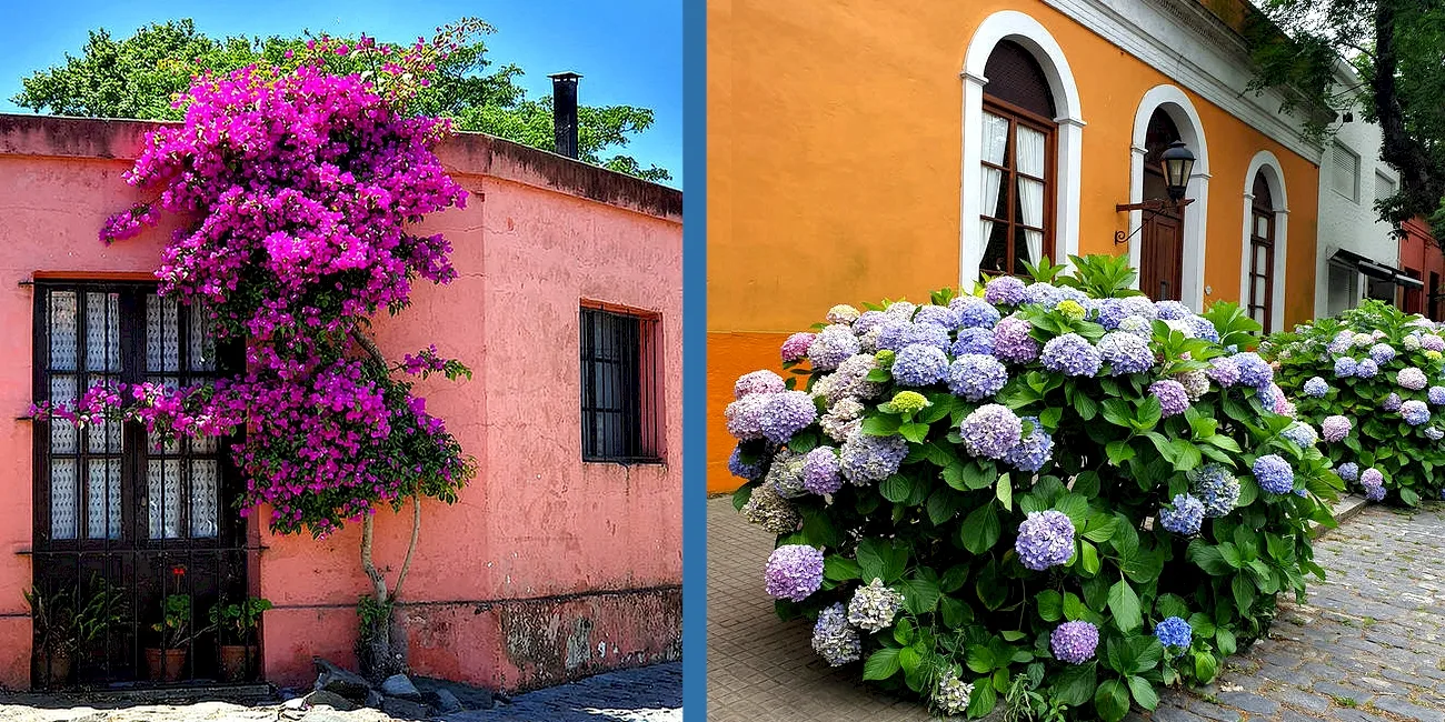 COLONIA SACRAMENTO — 45