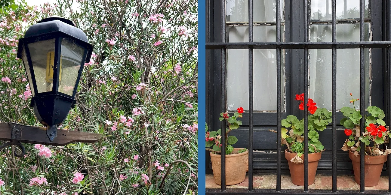COLONIA SACRAMENTO — 65