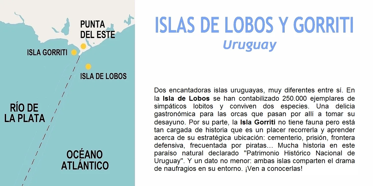 LOBOS Y GORRITI — 00